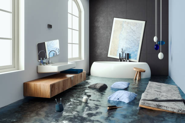 Best Professional water damage repair  in Port Washington North, NY