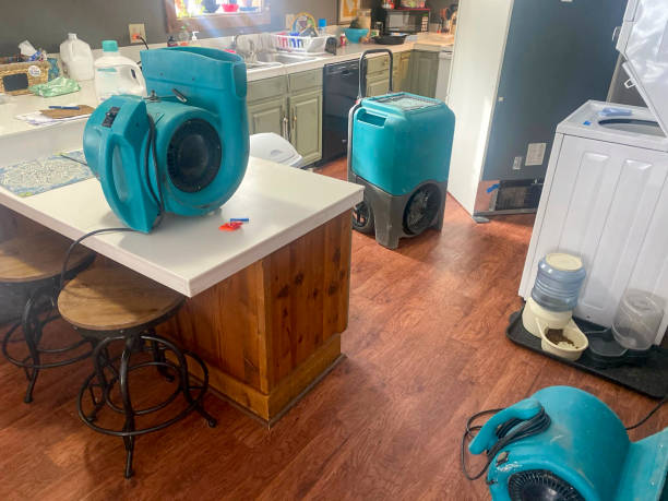 Local water damage restoration in Port Washington North, NY