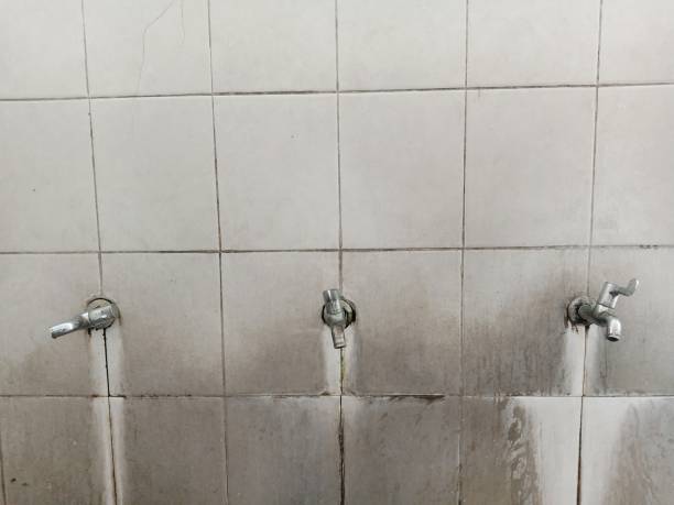 Best Carpet water damage restoration  in Port Washington North, NY