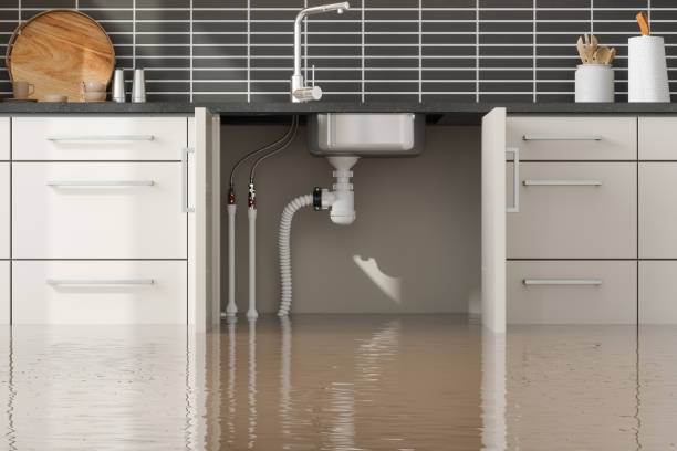 Best Water damage restoration near me  in Port Washington North, NY